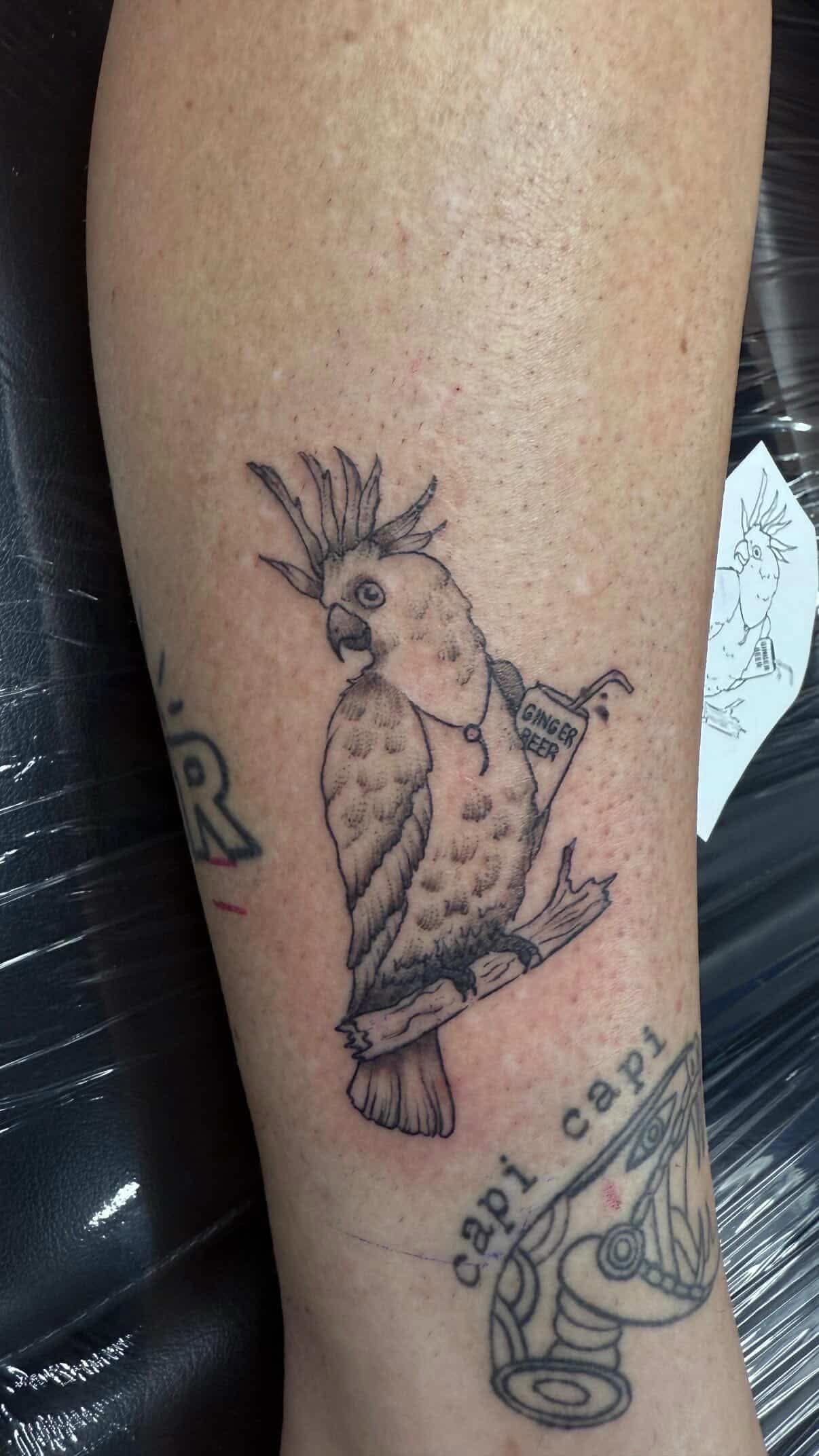 Fine-line cockatoo tattoo holding a ginger beer bottle on the forearm.